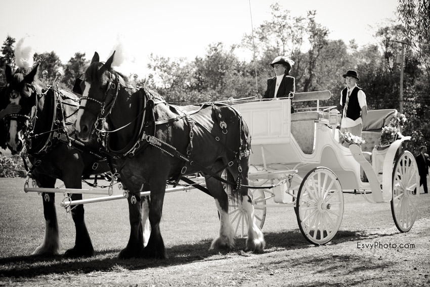 esvyphoto-aria-james-long-island-wedding-23